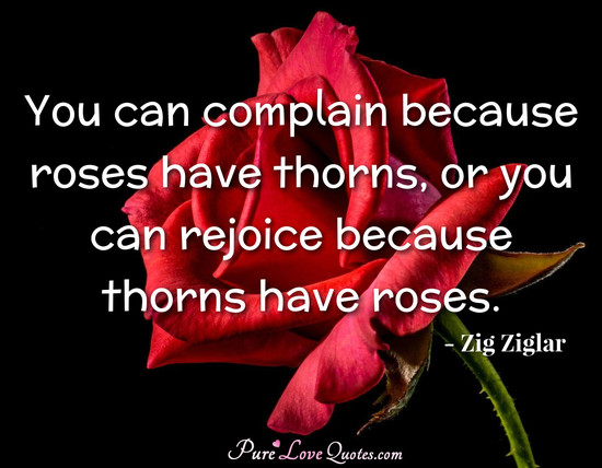 You can complain because roses have thorns, or you can rejoice because thorns have roses.