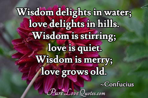 Wisdom delights in water; love delights in hills. Wisdom is stirring; love is quiet. Wisdom is merry; love grows old.