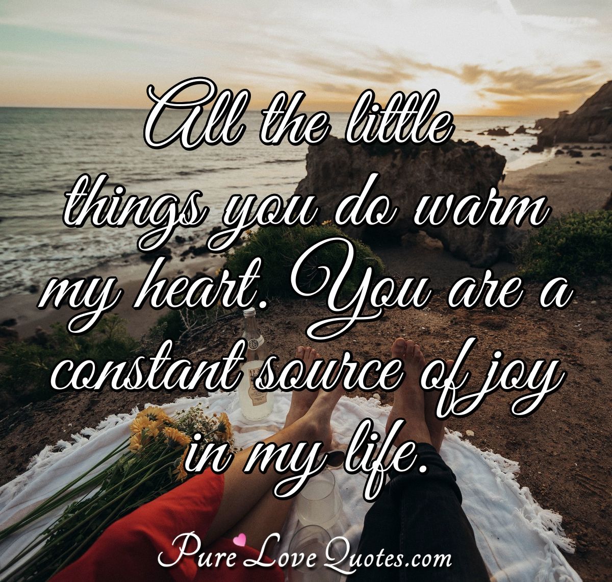 All The Little Things You Do Warm My Heart You Are A Constant Source Of Joy In Purelovequotes