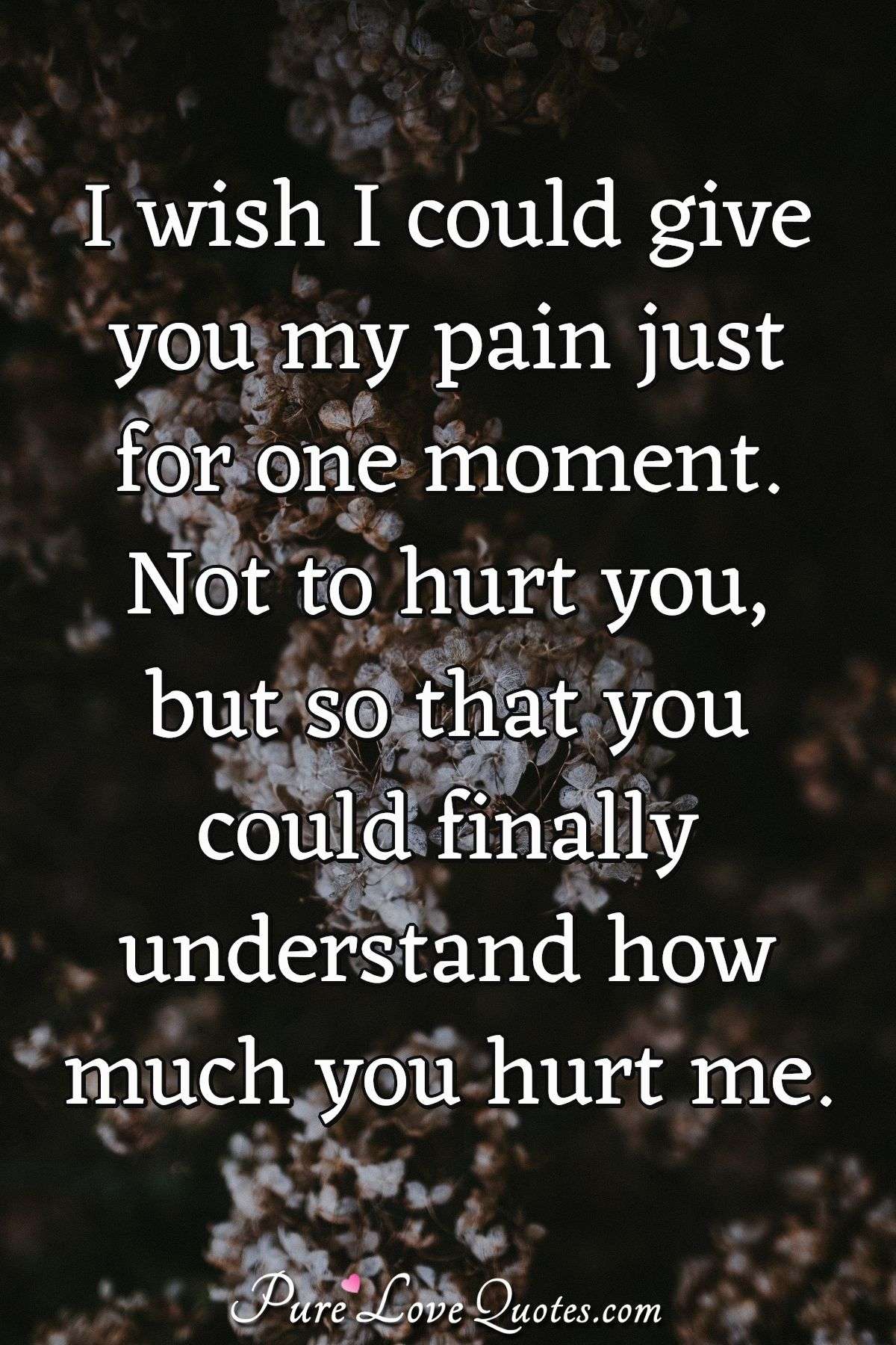 I Wish I Could Give You My Pain Just For One Moment Not To Hurt You But So Purelovequotes