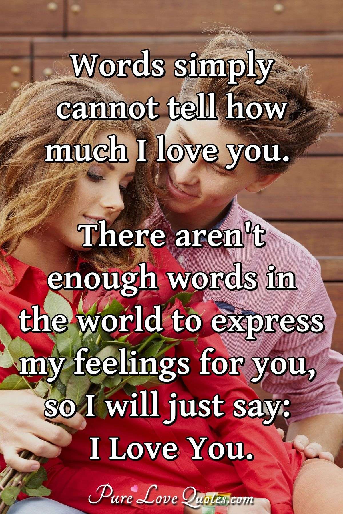 Words simply cannot tell how much I love you. There aren't enough words in the ... | PureLoveQuotes