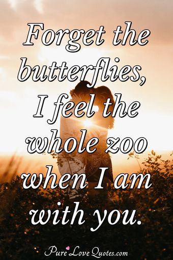 Forget the butterflies, I feel the whole zoo when I am with you ...