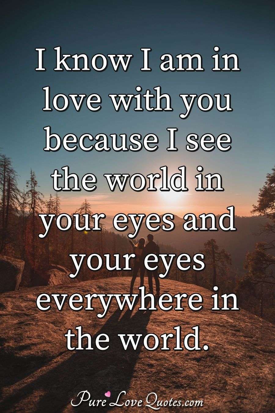 I know I am in love with you because I see the world in your eyes and ...