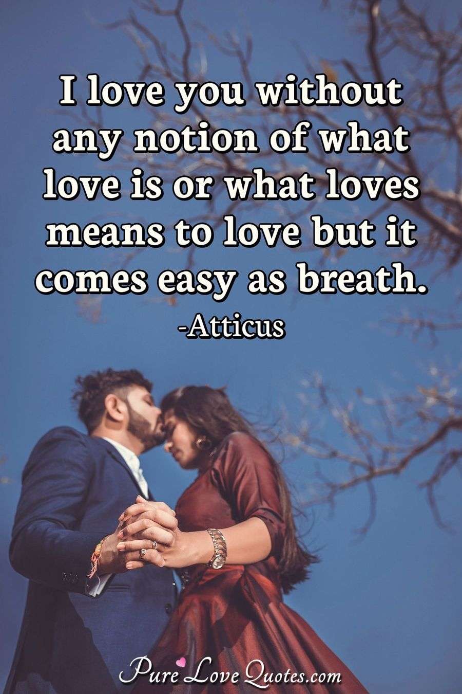 Atticus Love Quotes 