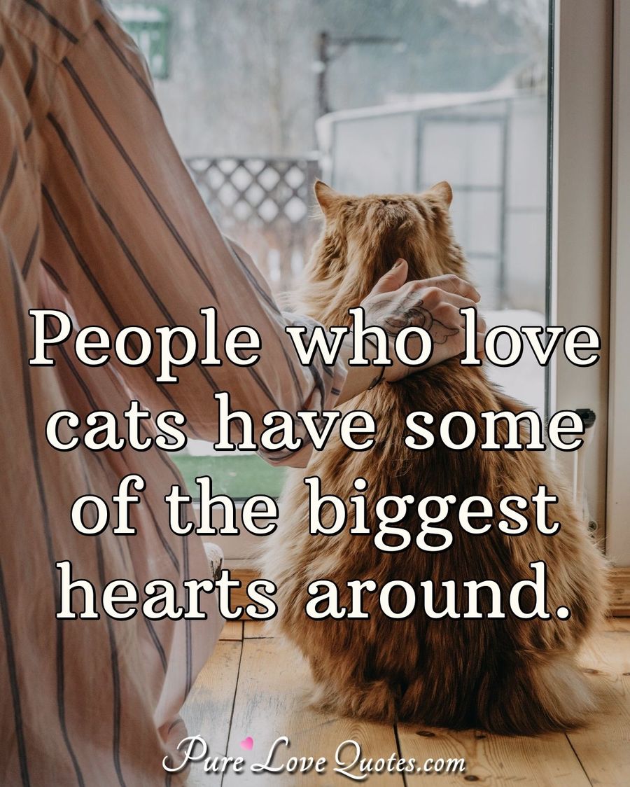 Animal Love Quotes | PureLoveQuotes