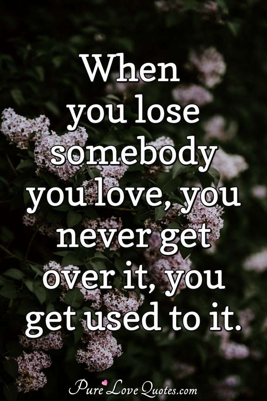 2200+ Romantic Love Quotes, Sayings and Messages