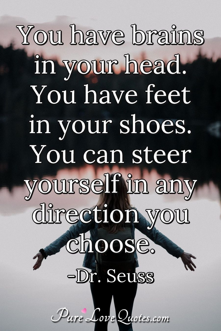 You have brains in your head. You have feet in your shoes. You can ...