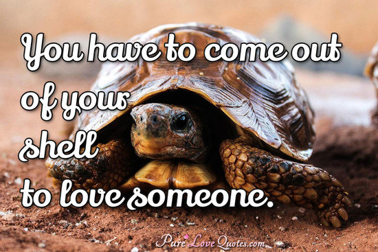 You Have To Come Out Of Your Shell To Love Someone PureLoveQuotes