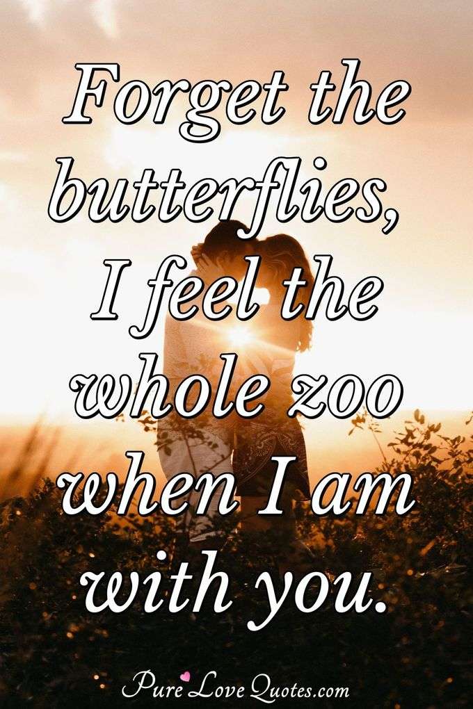 Forget The Butterflies I Feel The Whole Zoo When I Am With