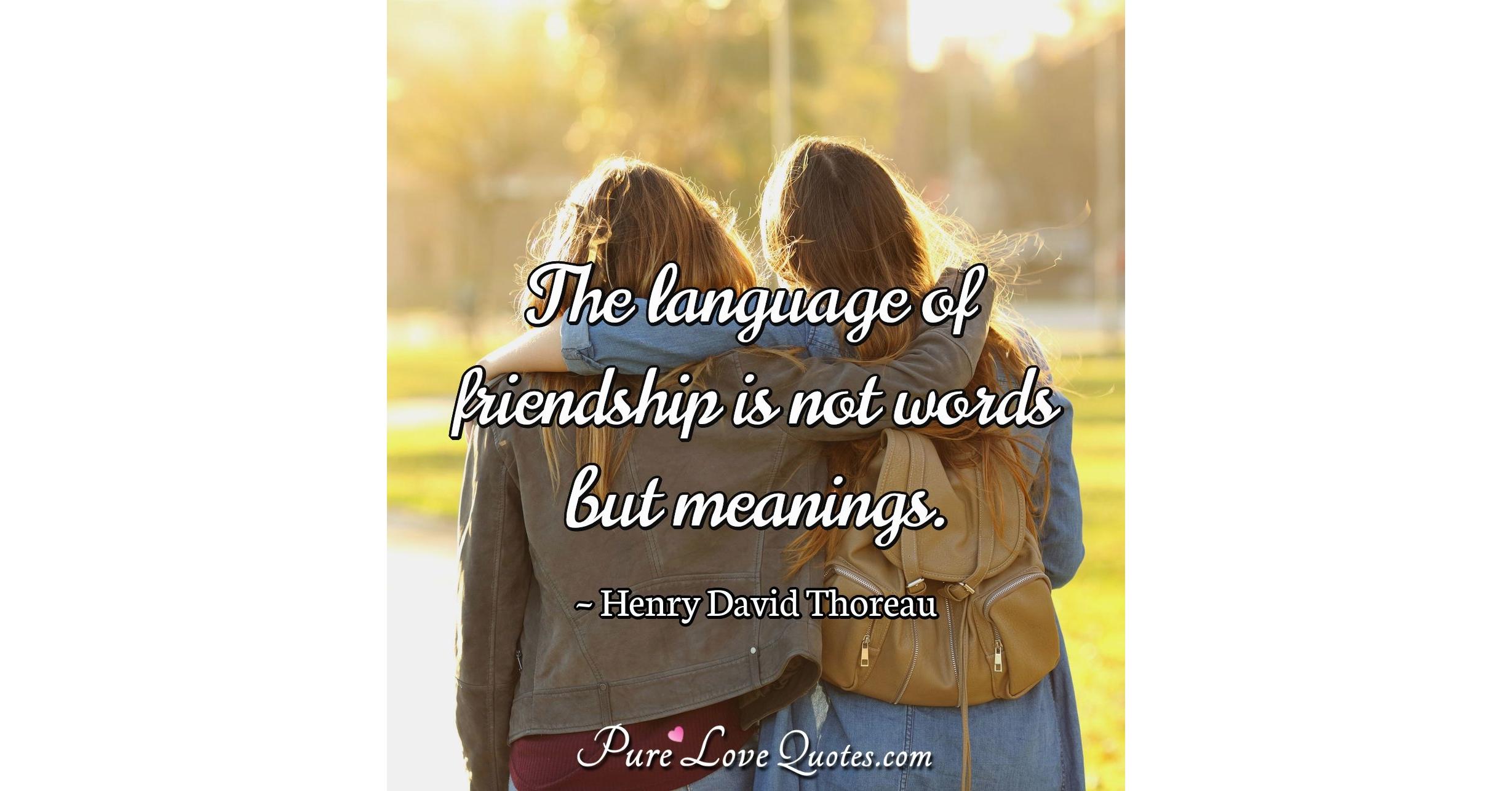 the-language-of-friendship-is-not-words-but-meanings-purelovequotes