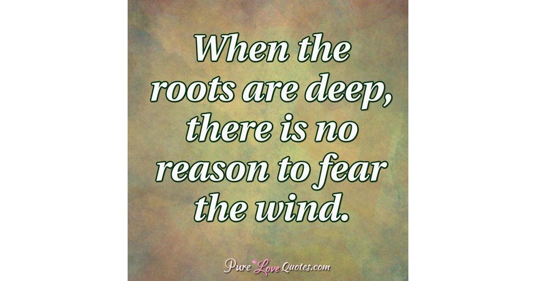 When the roots are deep, there is no reason to fear the wind ...