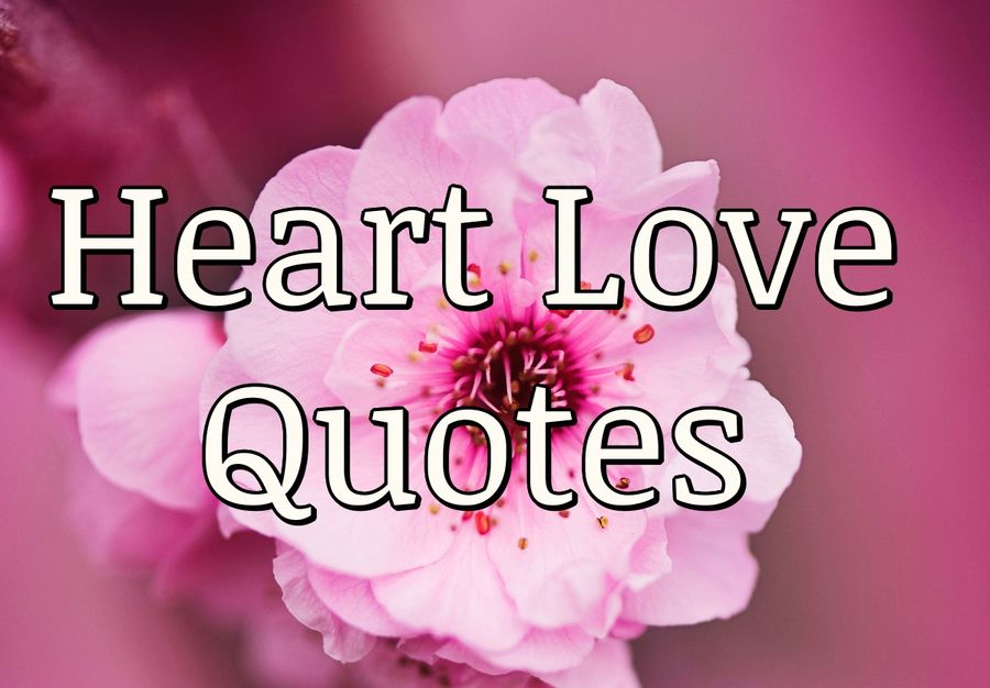 119 Heart Love Quotes | PureLoveQuotes
